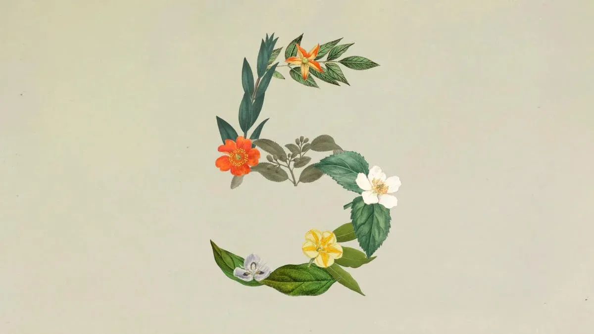 Claude Sonnet 5 — hình ảnh số 5 được tạo từ hoa và lá, thiết kế nhân tạo trên nền xanh nhạt, biểu trưng cho mẫu AI mới